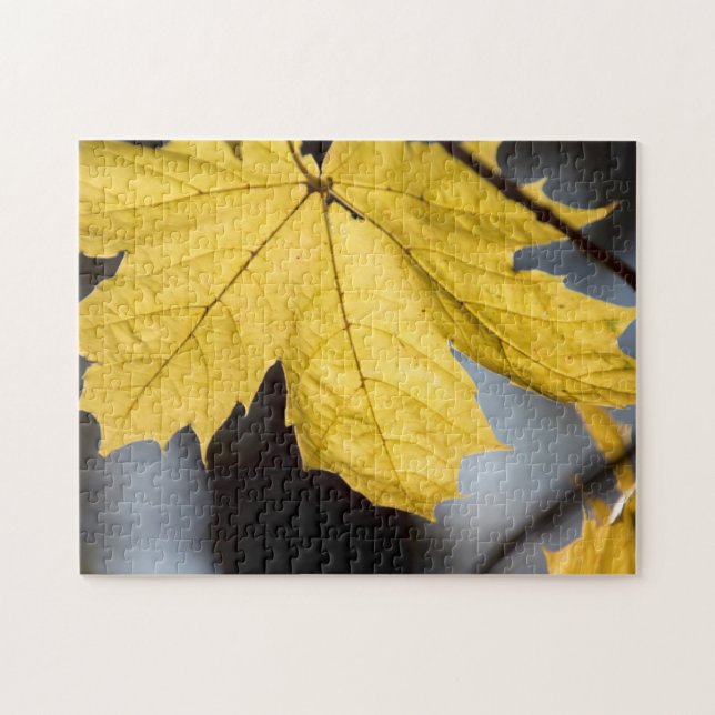 Sugar maple, fall jigsaw puzzle (Horizontal)