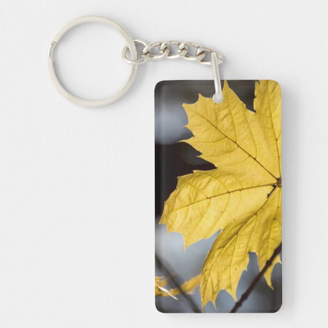 Sugar maple, fall key ring (Front)