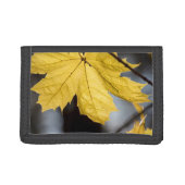 Sugar maple, fall tri-fold wallet (Front)