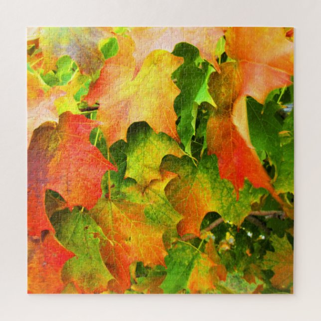 Sugar Maple Leaves Autumn Splendor Jigsaw Puzzle (Vertical)