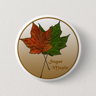 Sugar Maple Tree 6 Cm Round Badge
