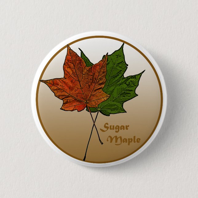 Sugar Maple Tree 6 Cm Round Badge (Front)