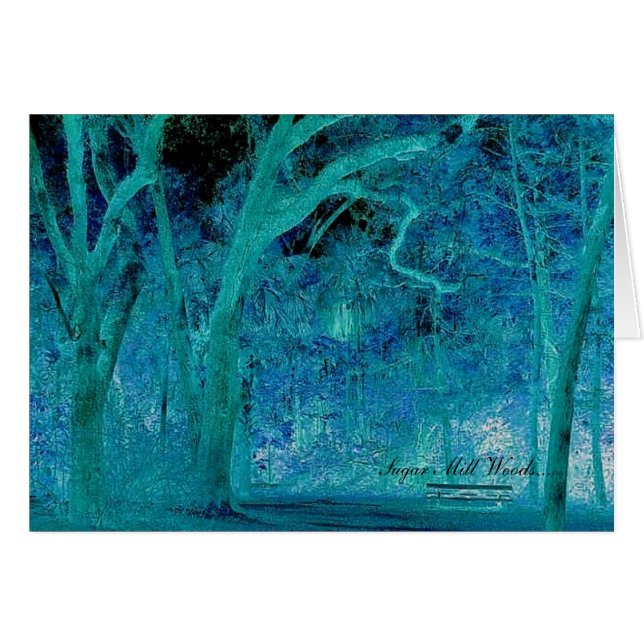 Sugar Mill Woods II (Front Horizontal)