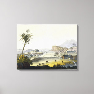 Sugar Plantation, Antilles (colour engraving) Canvas Print