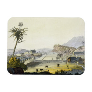 Sugar Plantation, Antilles (colour engraving) Magnet