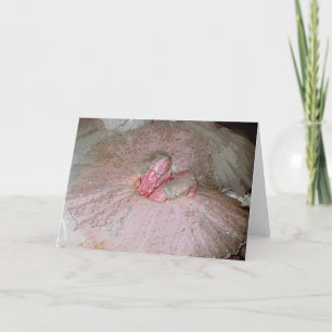 Sugar Plum Fairy Holiday Card