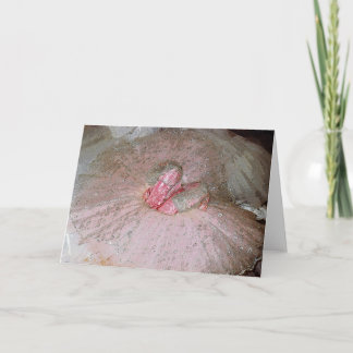 Sugar Plum Fairy Holiday Card