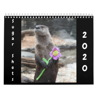 Sugar Shots 2020 Calendar