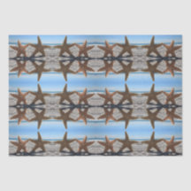 Sugar Starfish on the Beach Tissue Paper