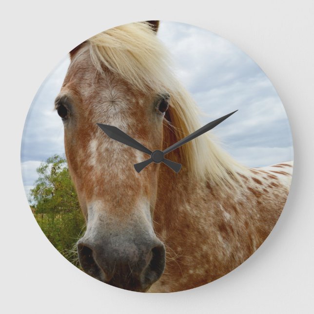 Sugar The Appaloosa Horse, Large Round Wall Clock. Clock (Front)