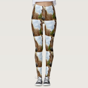 Sugar The Appaloosa Horse, Leggings