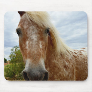 Sugar The Appaloosa Horse, Mousepad. Mouse Mat