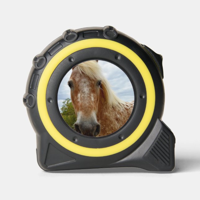 Sugar The Appaloosa Horse, Tape Measure 1 (Front)