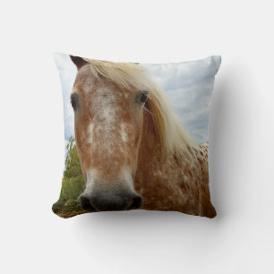 Sugar The Appaloosa Horse, Throw Cushion. Cushion