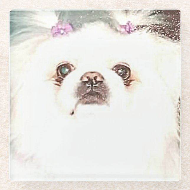 "SUGAR" the beautiful pekingese coasters (Front)