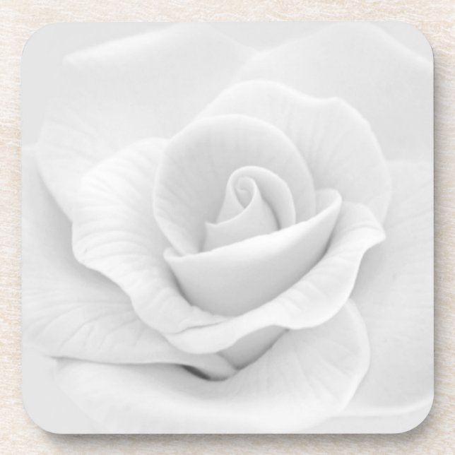 Sugar White Rose Coaster (Front)