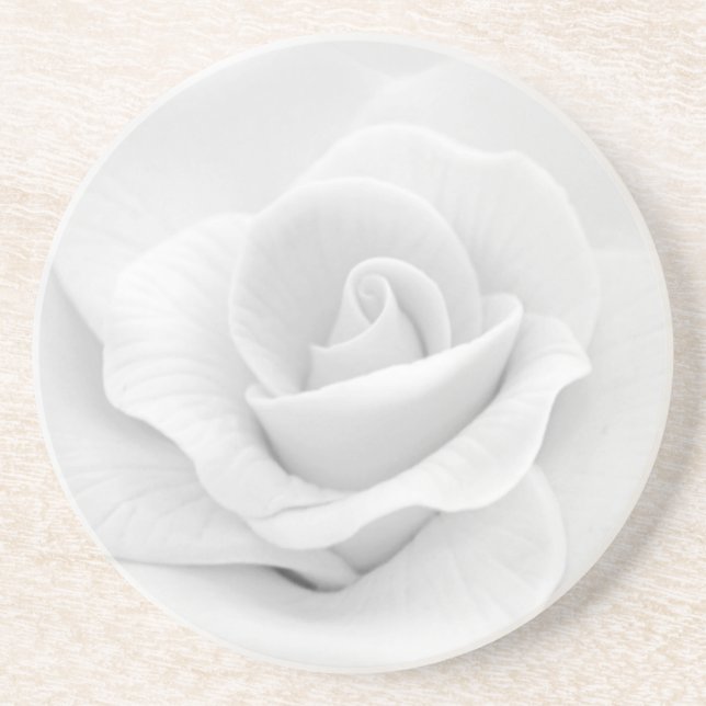 Sugar White Rose Coaster (Front)