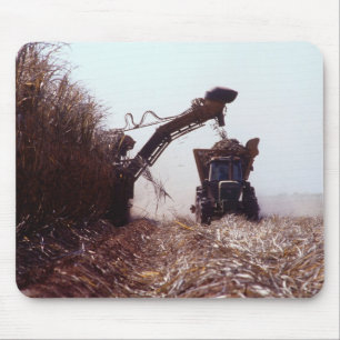 Sugarcane harvest mouse mat