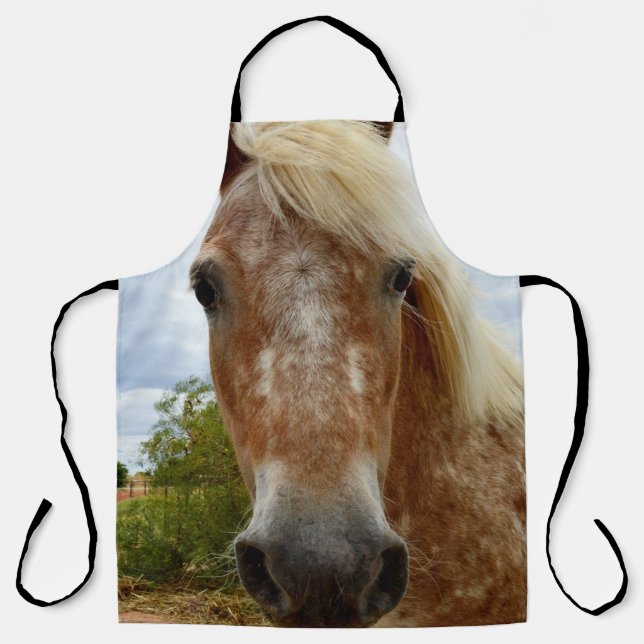 "Sugar's Stride: The Appaloosa's Grace" Apron (Front)