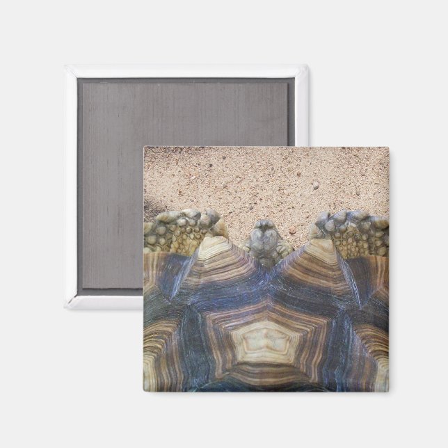 Sulcata Tortoise and Sand Magnet (Front/Back)