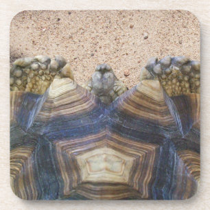 Sulcata Tortoise and Sand Magnet Stone Coaster Gif