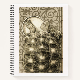 Sulcata Tortoise Art Nouveau Ink Sepia drawing Notebook