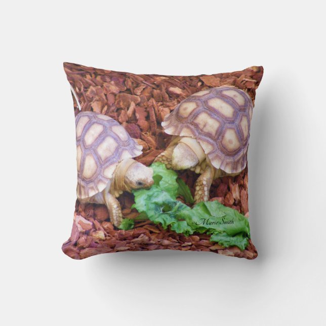 Sulcata Tortoise Hatchlings Cushion (Front)