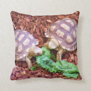Sulcata Tortoise Hatchlings Cushion