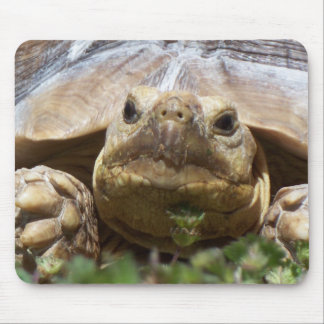 Sulcata Tortoise Mouse Mat