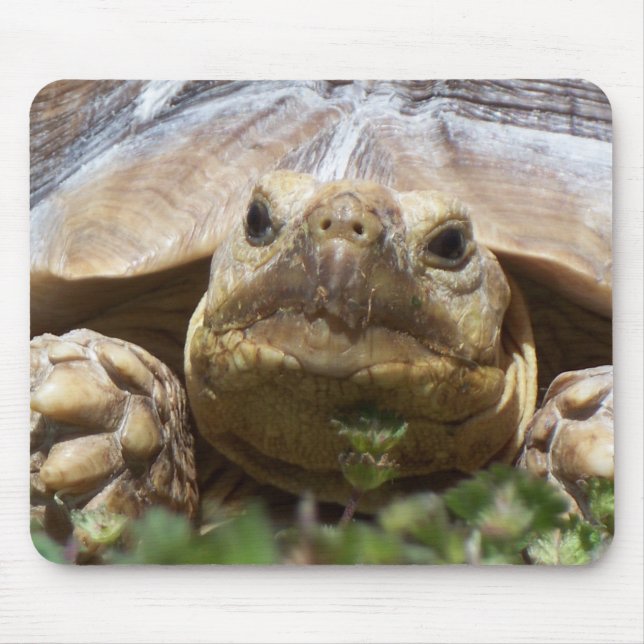 Sulcata Tortoise Mouse Mat (Front)