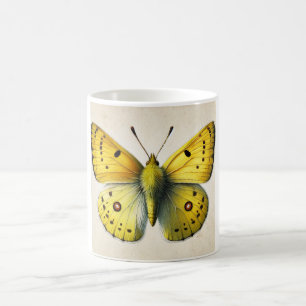 Sulfur butterfly Colias 130924IREF208 - Watercolor Coffee Mug