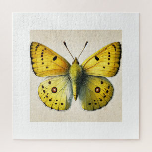 Sulfur butterfly Colias 130924IREF208 - Watercolor Jigsaw Puzzle