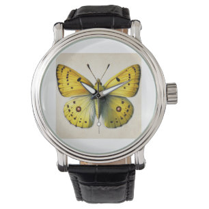Sulfur butterfly Colias 130924IREF208 - Watercolor Watch