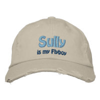 Sully is my Flyboy, US Airways, Flight 1549