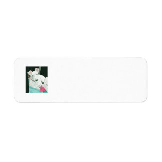 Sully the Jack Russell Terrier