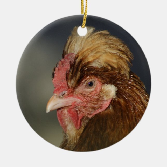 Sulmtaler Ceramic Tree Decoration (Front)