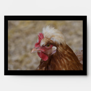 Sulmtaler Hen Envelope