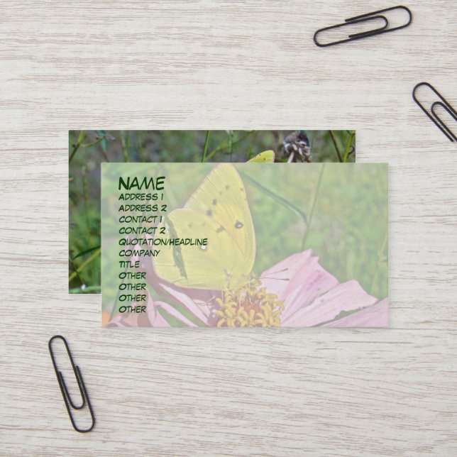 Sulpher Butterfly Business Card (Front/Back In Situ)
