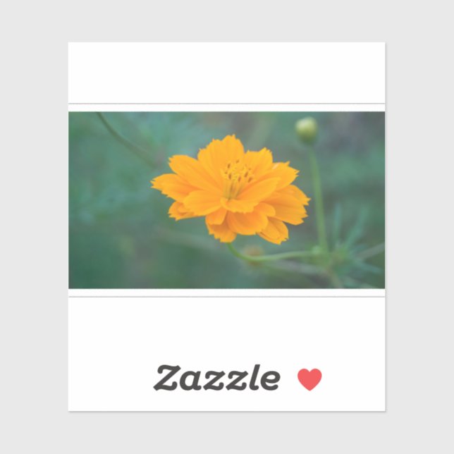 Sulphur Cosmos 03 (Sheet)