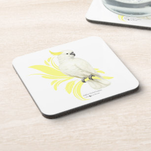 Sulphur Crested Cockatoo Coaster
