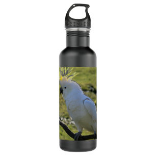 Sulphur-Crested Cockatoo in Australia 710 Ml Water Bottle