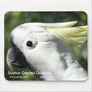 Sulphur Crested Cockatoo Mouse Mat