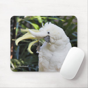 Sulphur-Crested Cockatoo Parrot Bird Waves Mouse Mat