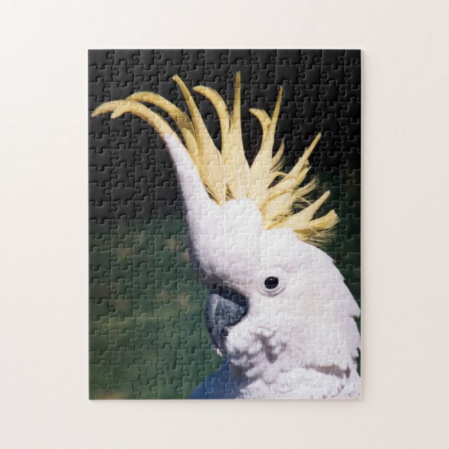 Sulphur-crested Cockatoo Puzzle (Vertical)