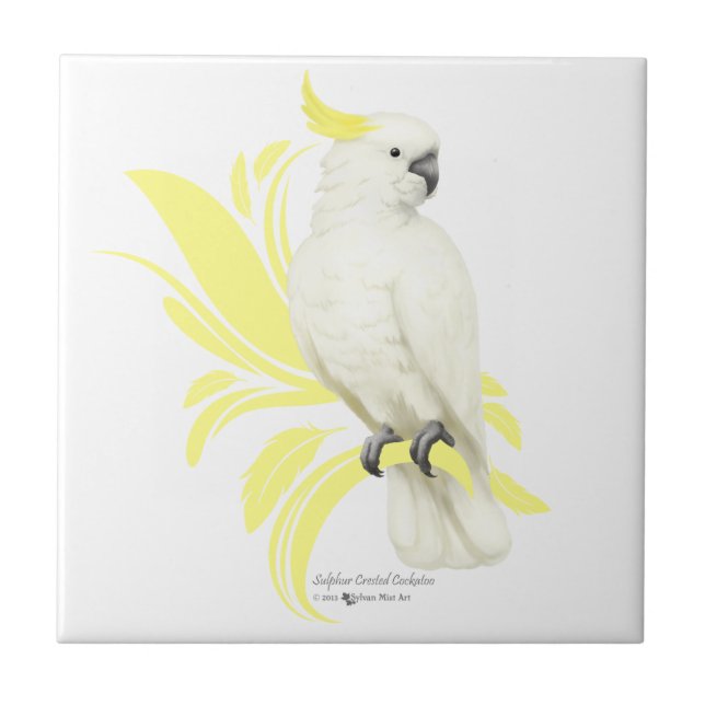 Sulphur Crested Cockatoo Tile (Front)