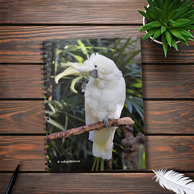 Sulphur-Crested Cockatoo Waves at the Photographer Notebook (Friendly Sulfur-Crested Cockatoo Waves at the Photographer Journal Cover Photo)