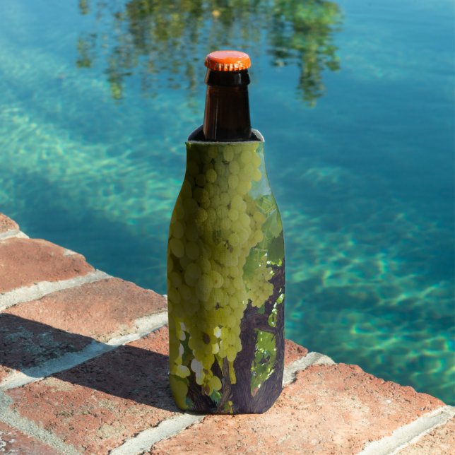 Sultana Grapes On A Grape Vine,  Bottle Cooler (In Situ Pool)