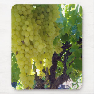 Sultana Grapes On A Grape Vine,  Mouse Mat