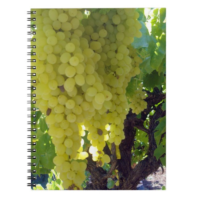 Sultana Grapes On A Grape Vine,  Notebook (Front)
