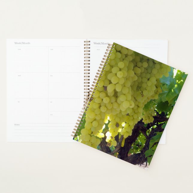 Sultana Grapes On A Grape Vine,  Planner (Display)